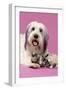 Dog, Kittens Head Rests on Paw-null-Framed Photographic Print