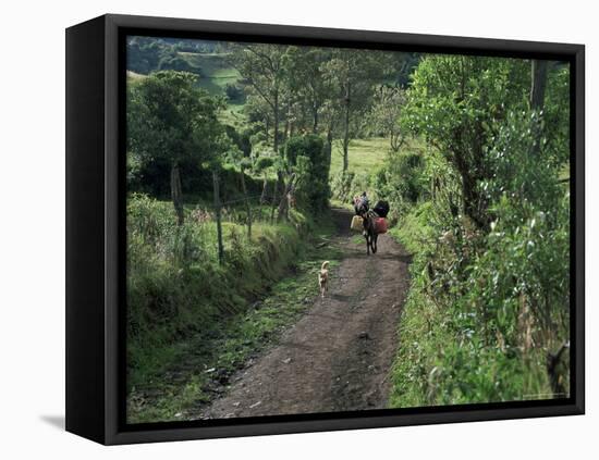 Dog Leads the Way for Donkey and Keeper, Near Cotopaxi Volcano, Ecuador, South America-Aaron McCoy-Framed Stretched Canvas