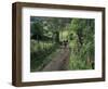 Dog Leads the Way for Donkey and Keeper, Near Cotopaxi Volcano, Ecuador, South America-Aaron McCoy-Framed Photographic Print