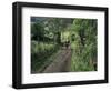 Dog Leads the Way for Donkey and Keeper, Near Cotopaxi Volcano, Ecuador, South America-Aaron McCoy-Framed Photographic Print