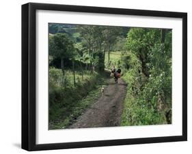 Dog Leads the Way for Donkey and Keeper, Near Cotopaxi Volcano, Ecuador, South America-Aaron McCoy-Framed Photographic Print