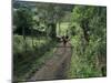 Dog Leads the Way for Donkey and Keeper, Near Cotopaxi Volcano, Ecuador, South America-Aaron McCoy-Mounted Photographic Print