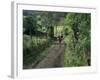 Dog Leads the Way for Donkey and Keeper, Near Cotopaxi Volcano, Ecuador, South America-Aaron McCoy-Framed Photographic Print