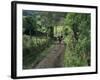 Dog Leads the Way for Donkey and Keeper, Near Cotopaxi Volcano, Ecuador, South America-Aaron McCoy-Framed Photographic Print