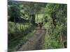 Dog Leads the Way for Donkey and Keeper, Near Cotopaxi Volcano, Ecuador, South America-Aaron McCoy-Mounted Photographic Print