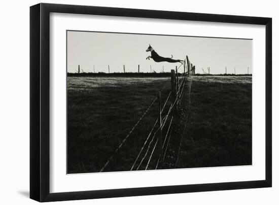 Dog Leaping Fence in Farmland-Fay Godwin-Framed Giclee Print