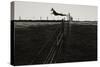 Dog Leaping Fence in Farmland-Fay Godwin-Stretched Canvas