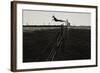 Dog Leaping Fence in Farmland-Fay Godwin-Framed Giclee Print