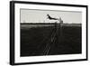 Dog Leaping Fence in Farmland-Fay Godwin-Framed Giclee Print