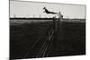 Dog Leaping Fence in Farmland-Fay Godwin-Mounted Giclee Print