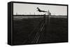 Dog Leaping Fence in Farmland-Fay Godwin-Framed Stretched Canvas