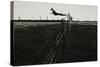 Dog Leaping Fence in Farmland-Fay Godwin-Stretched Canvas