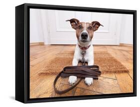 Dog Leather Leash-Javier Brosch-Framed Stretched Canvas