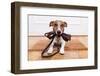 Dog Leather Leash-Javier Brosch-Framed Photographic Print