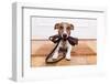 Dog Leather Leash-Javier Brosch-Framed Photographic Print