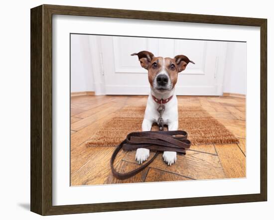 Dog Leather Leash-Javier Brosch-Framed Photographic Print