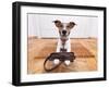Dog Leather Leash-Javier Brosch-Framed Photographic Print