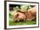 Dog Lieing on its Side Looking into the Camera-Sam Chadwick-Framed Photographic Print