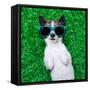 Dog Lying and Resting-Javier Brosch-Framed Stretched Canvas