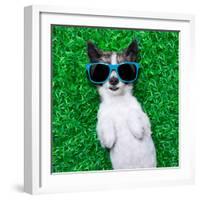 Dog Lying and Resting-Javier Brosch-Framed Photographic Print