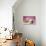 Dog Lying Together with Kitten on Pink Background-null-Photographic Print displayed on a wall