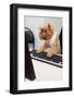 Dog Manager-Okssi-Framed Photographic Print