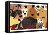 Dog Meeting-Stephen Huneck-Framed Stretched Canvas