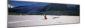 Dog Musher and Sled Dog Team on Snow-Covered Trail, Chugach Mountains, Alaska, USA-null-Mounted Photographic Print