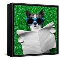 Dog Newspaper-Javier Brosch-Framed Stretched Canvas