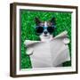 Dog Newspaper-Javier Brosch-Framed Photographic Print