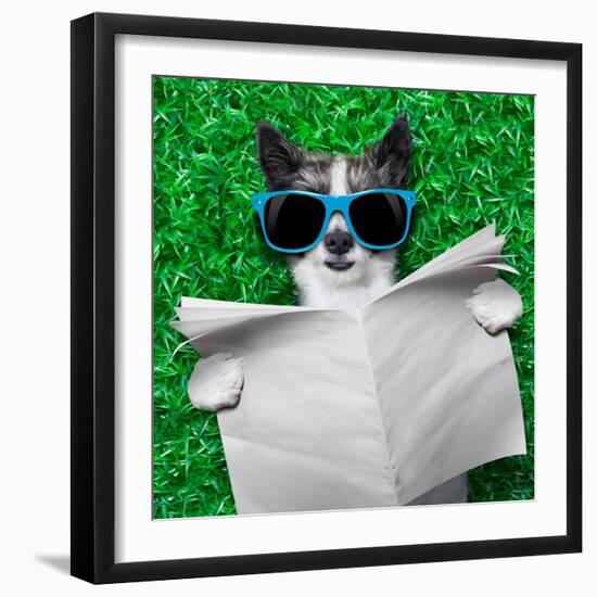 Dog Newspaper-Javier Brosch-Framed Photographic Print