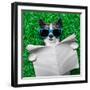 Dog Newspaper-Javier Brosch-Framed Photographic Print