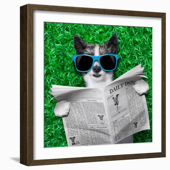 Dog Newspaper-Javier Brosch-Framed Photographic Print