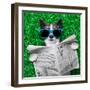 Dog Newspaper-Javier Brosch-Framed Photographic Print