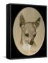 Dog Nine-Rusty Frentner-Framed Stretched Canvas