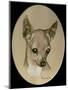 Dog Nine-Rusty Frentner-Mounted Giclee Print