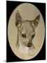 Dog Nine-Rusty Frentner-Mounted Giclee Print