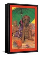 Dog on a Beach-Diana Thorne-Framed Stretched Canvas