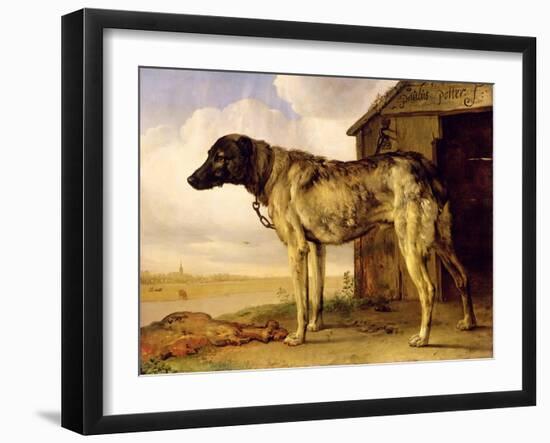 Dog on a Chain, 1653-4-Paulus Potter-Framed Giclee Print