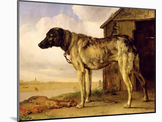 Dog on a Chain, 1653-4-Paulus Potter-Mounted Giclee Print