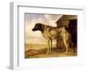 Dog on a Chain, 1653-4-Paulus Potter-Framed Giclee Print