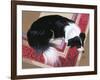 Dog on a Rug-Durwood Coffey-Framed Giclee Print