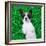 Dog on Grass-Javier Brosch-Framed Photographic Print