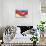 Dog on Hammock-Javier Brosch-Stretched Canvas displayed on a wall
