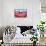 Dog on Hammock-Javier Brosch-Framed Stretched Canvas displayed on a wall