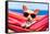 Dog on Hammock-Javier Brosch-Framed Stretched Canvas