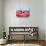 Dog on Hammock-Javier Brosch-Stretched Canvas displayed on a wall