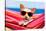 Dog on Hammock-Javier Brosch-Stretched Canvas