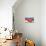 Dog on Hammock-Javier Brosch-Mounted Photographic Print displayed on a wall