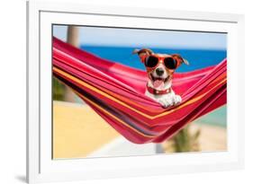 Dog on Hammock-Javier Brosch-Framed Photographic Print